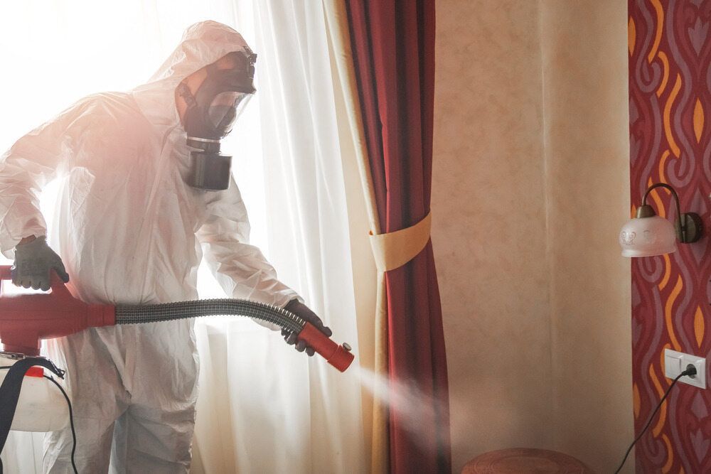 A Man in a Protective Suit is Spraying a Room With a Sprayer — Rozken Pest Control Services In Port Macquarie, NSW