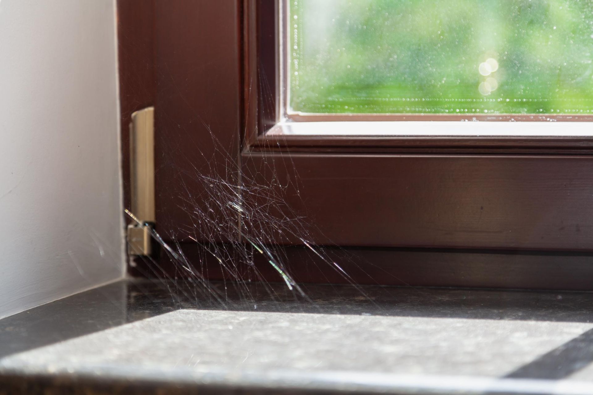 A Close Up of a Window With Water Coming Out of It — Rozken Pest Control Services In Lake Cathie, NSW