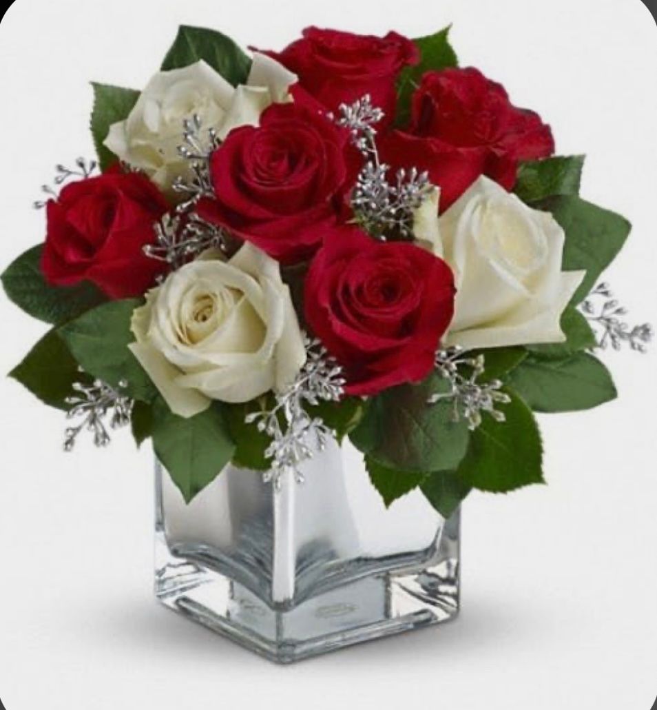 Suki ( Valentine's Day Offer )