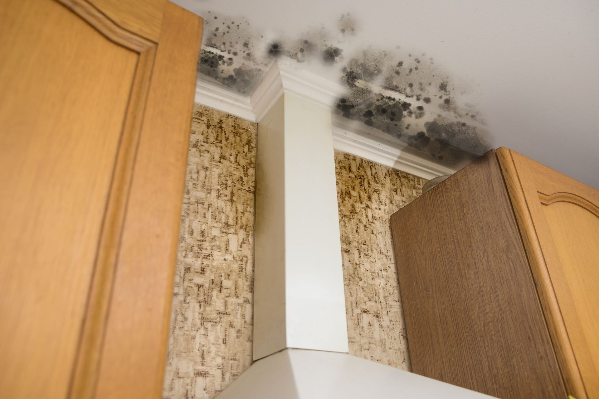 A kitchen with mold growing on the ceiling and cabinets.