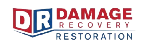 Damage recovery restoration logo