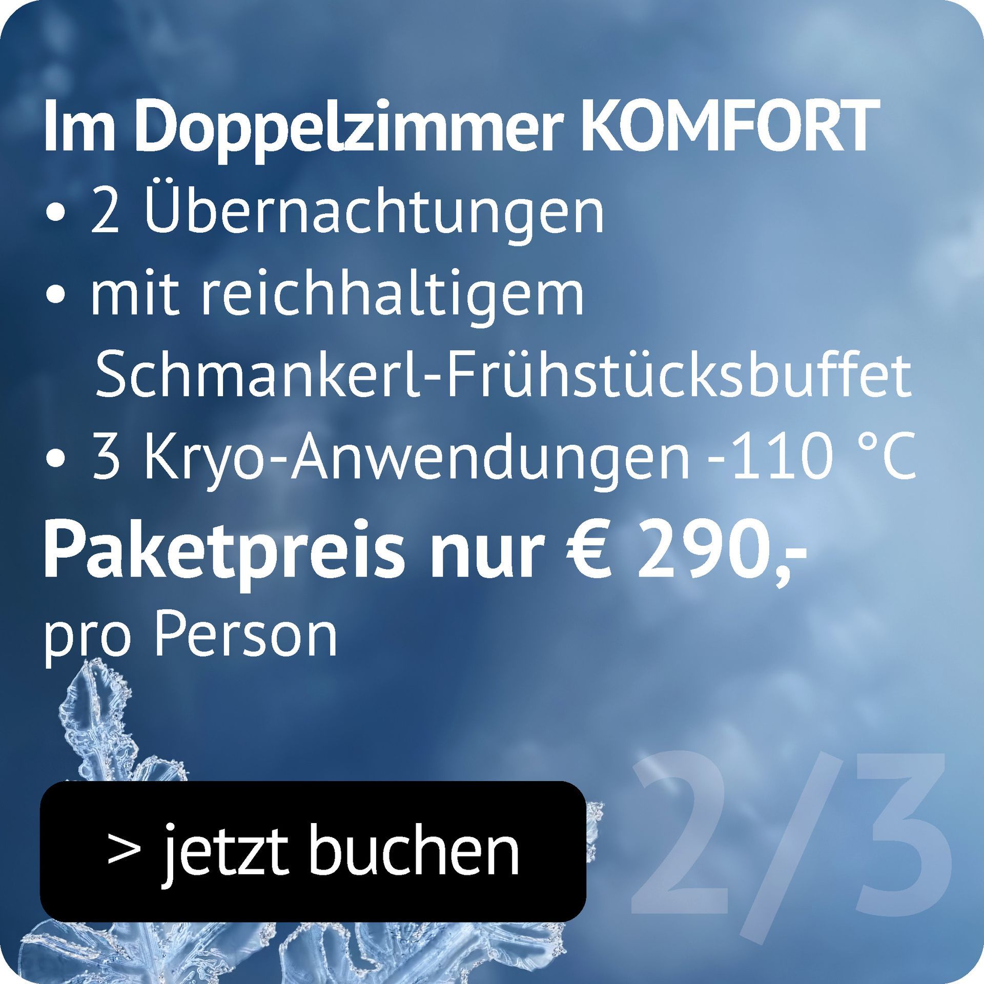 Graz Biohacking Paket 3 im DZ Komfort: 2 Übernachtungen, Schmankerl-Frühstück, 3 Kryo-Anwendungen bei -110 °C um 290€ p.P.