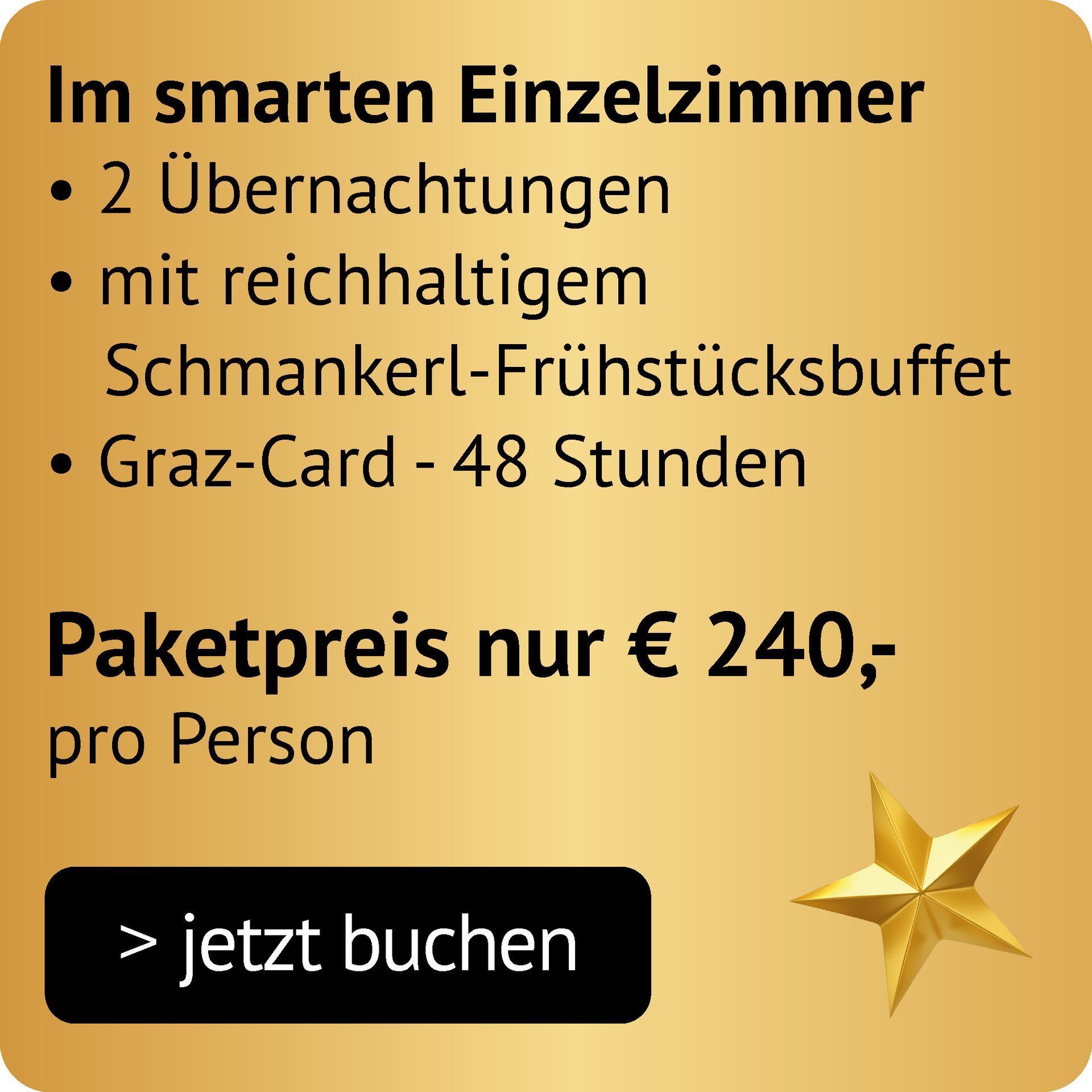 Graz Xmas Paket 1 im Einzelzimmer mit 2 Übernachtungen, Schmankerl-Frühstück, Graz-Card (48 Stunden) um 240€ pro Person