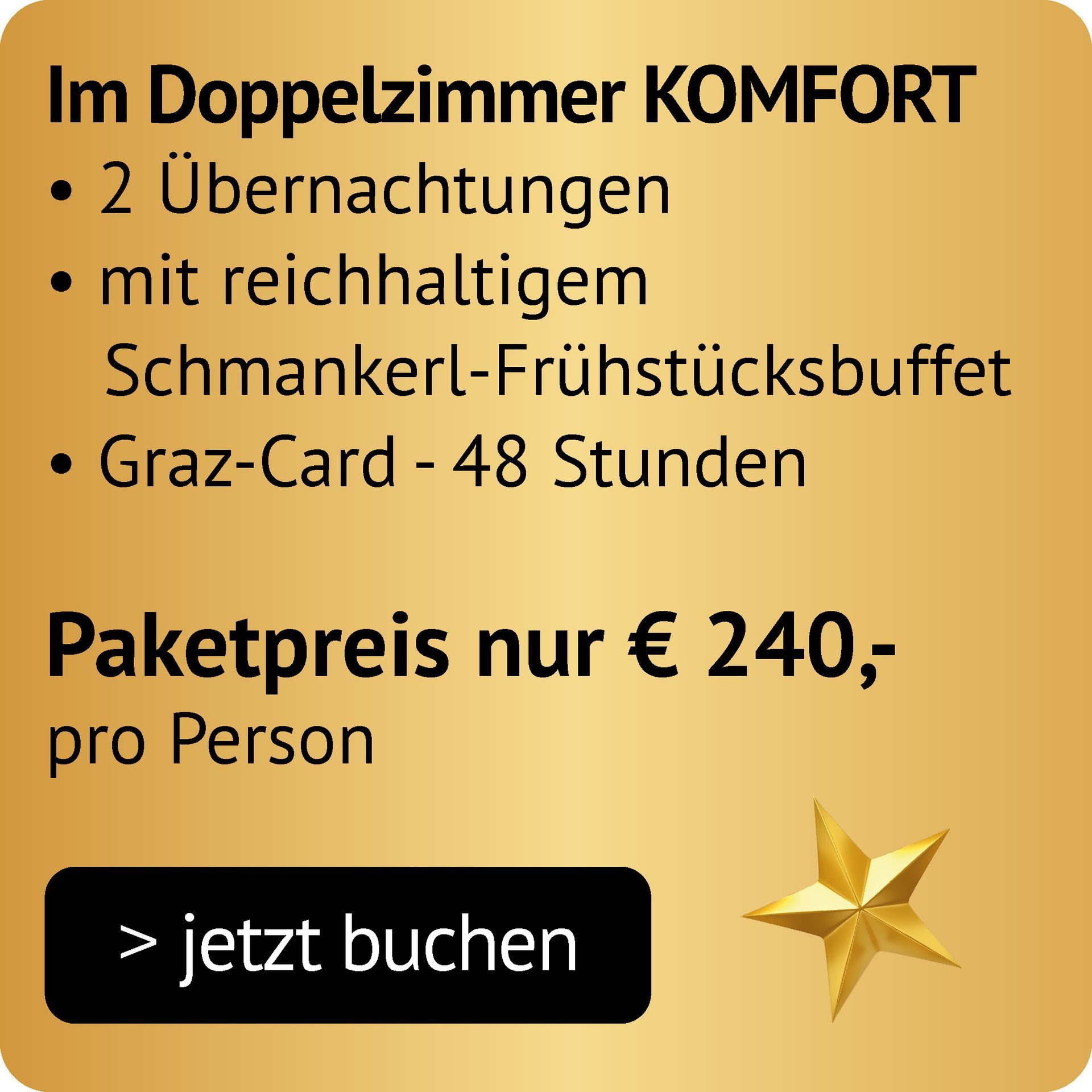 Graz Xmas Paket 3 im DZ Komfort mit 2 Übernachtungen, Schmankerl-Frühstück, Graz-Card (48 Stunden) um 240€ pro Person