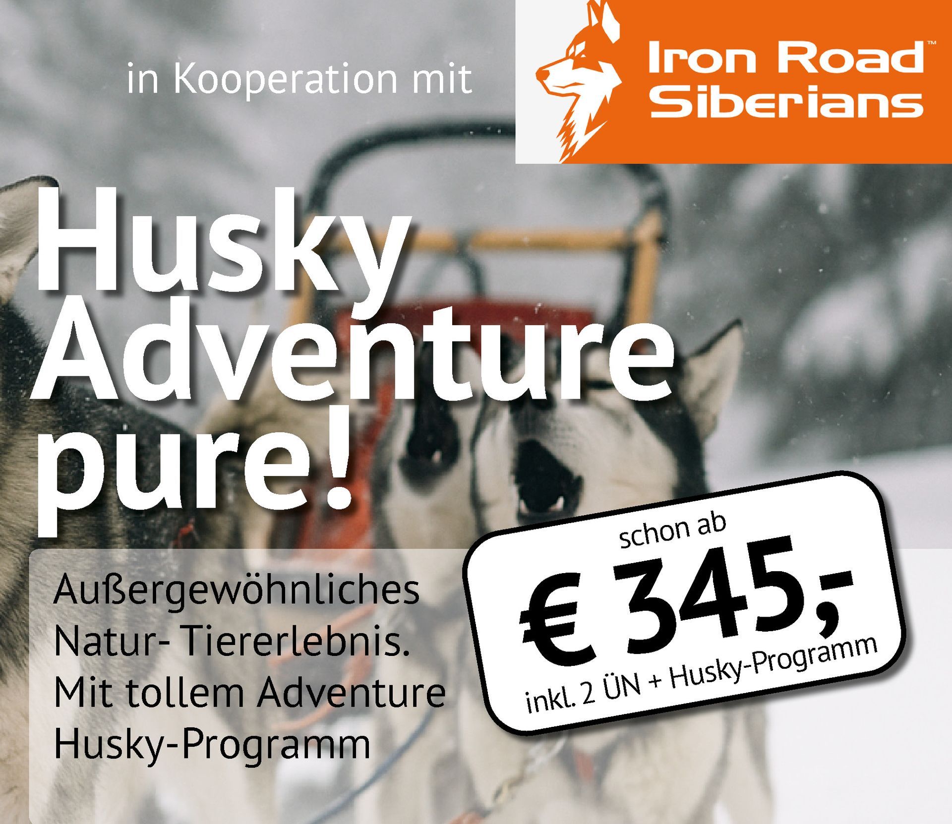Werbebild für Pakete von Iron Road Siberians mit einem Husky-Programm ab 345€