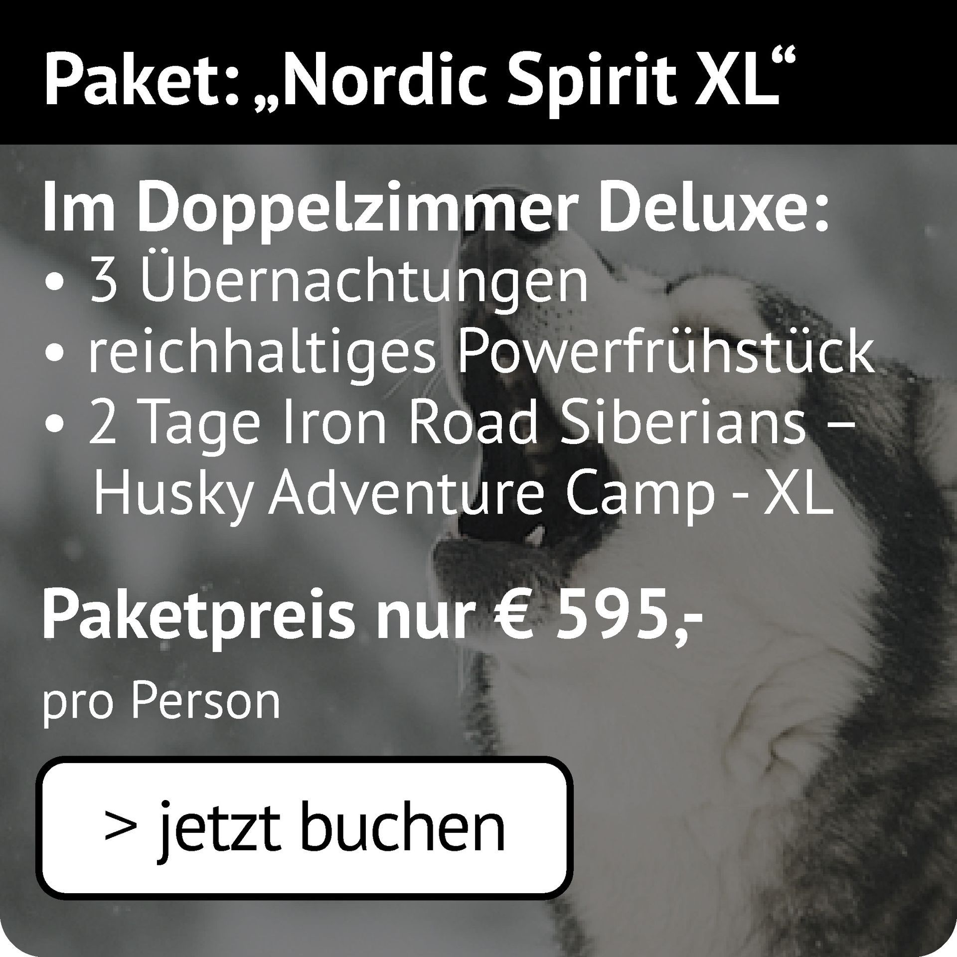 Nordic Spirit XL im DZ Deluxe: 3 Übernachtungen, Powerfrühstück, 2 Tage Iron Road Siberians Husky Adventure Camp XL 595€ p.P.