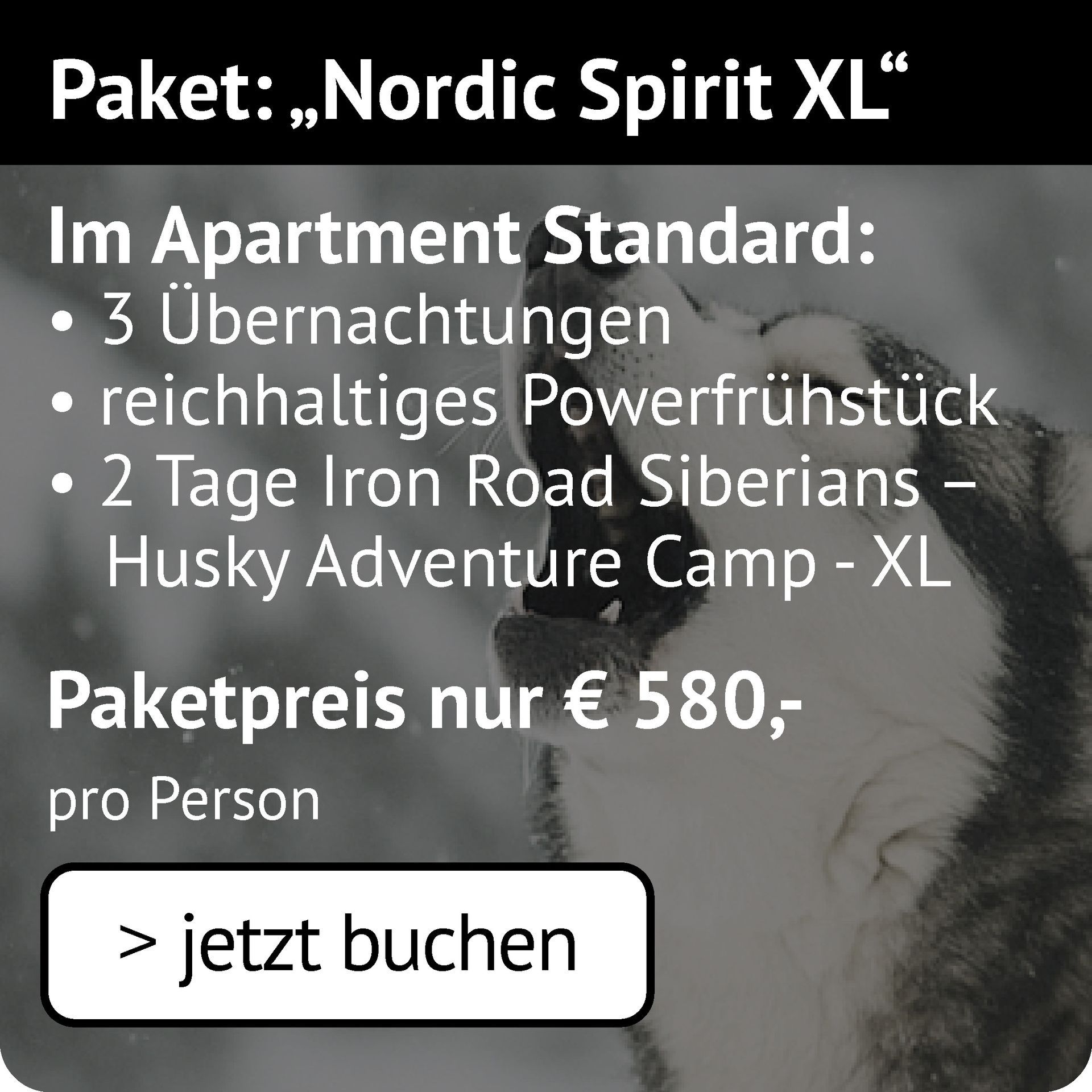 Nordic Spirit XL im Apartment: 3 Übernachtungen, Powerfrühstück, 2 Tage Iron Road Siberians Husky Adventure Camp XL 580€ p.P.