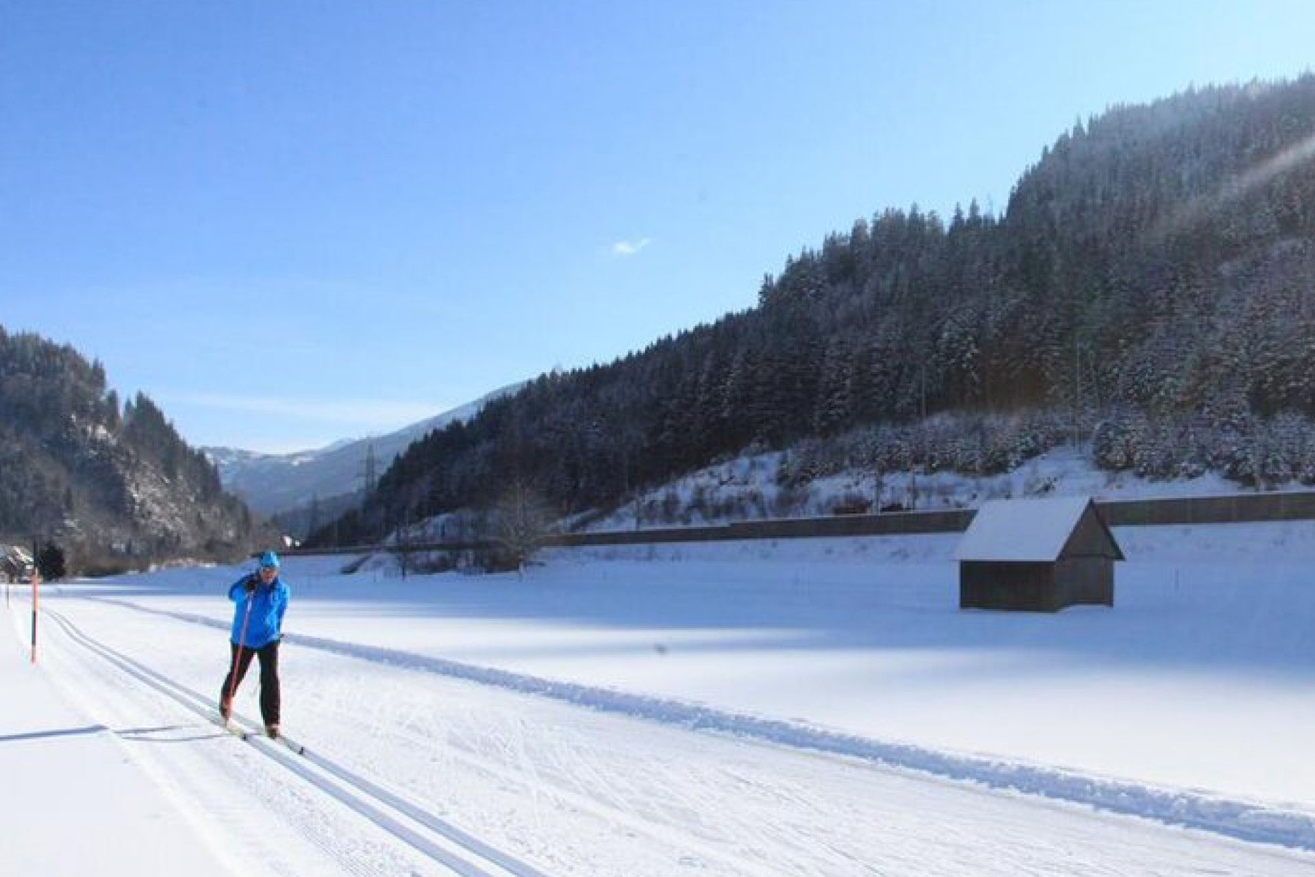 Ein reichhaltiges Frühstück mit Obst, Süßspeisen, Schinken, Gemüse, Avocado, Croissant und Salaten sowie einem Orangensaft