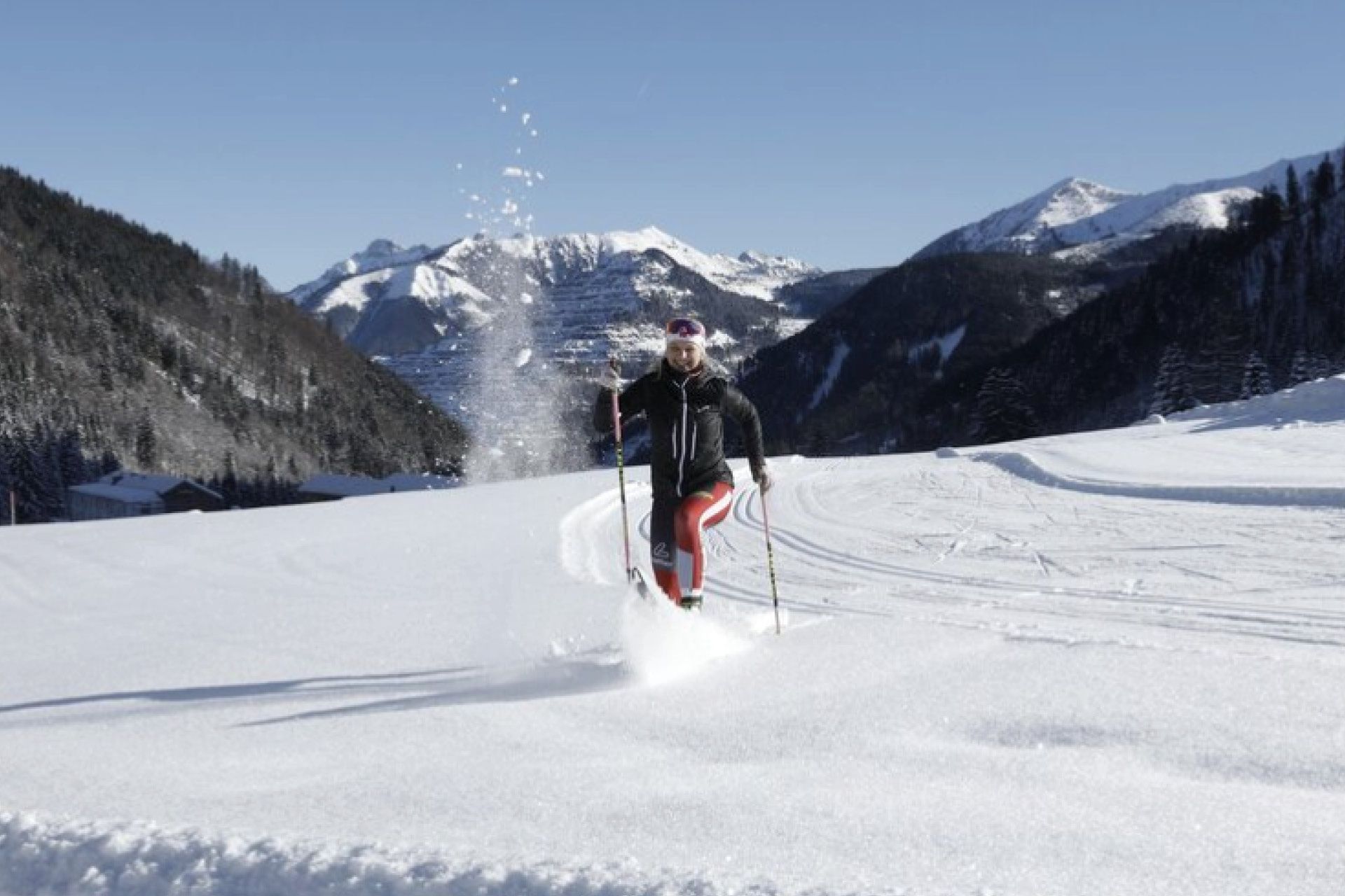 Ein reichhaltiges Frühstück mit Obst, Süßspeisen, Schinken, Gemüse, Avocado, Croissant und Salaten sowie einem Orangensaft