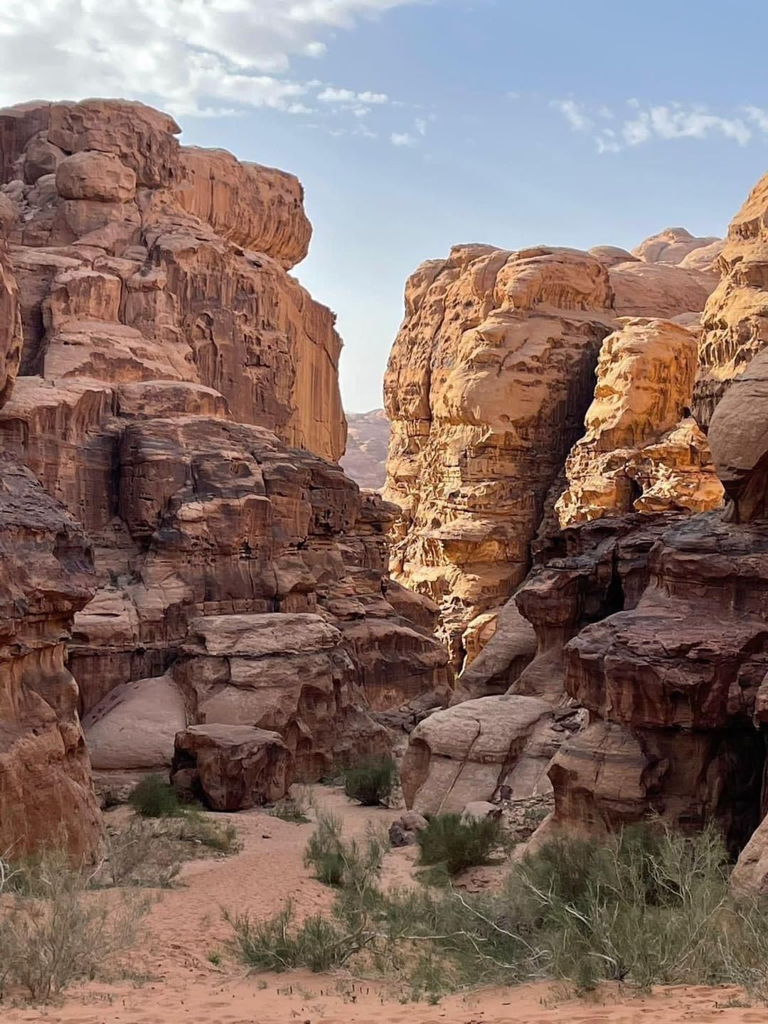 Wadi Rum Glamping Experience image