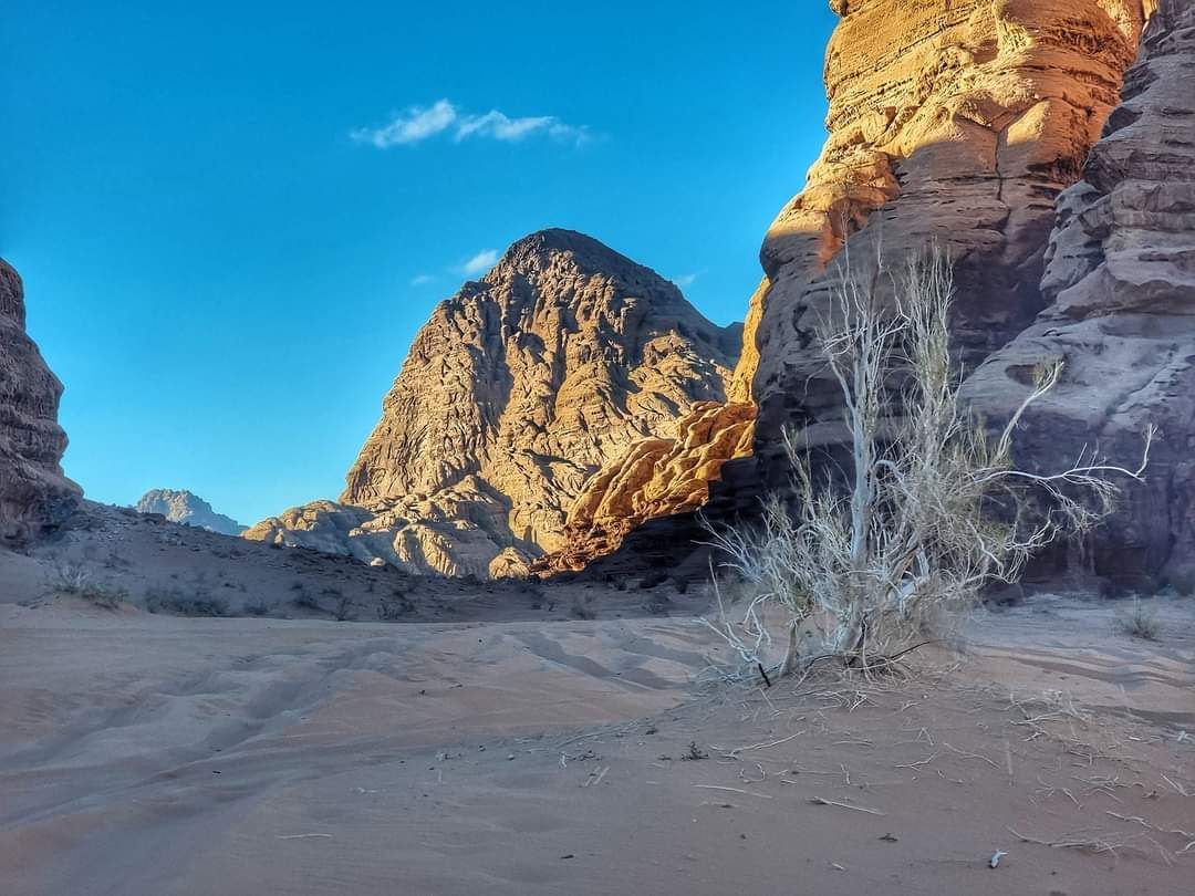 Wadi Rum Glamping Experience image