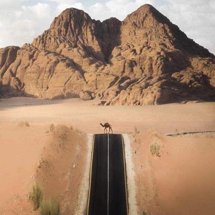 Wadi Rum Glamping Experience image