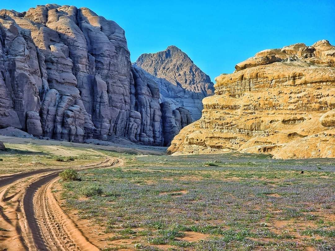 Wadi Rum Glamping Experience image