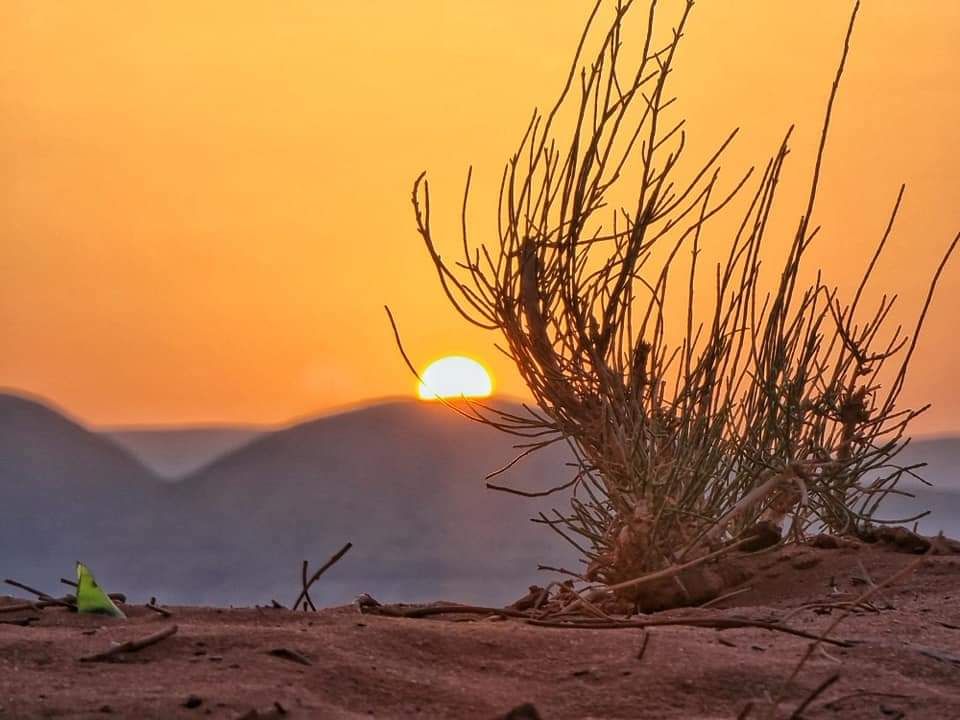 Wadi Rum Glamping Experience image