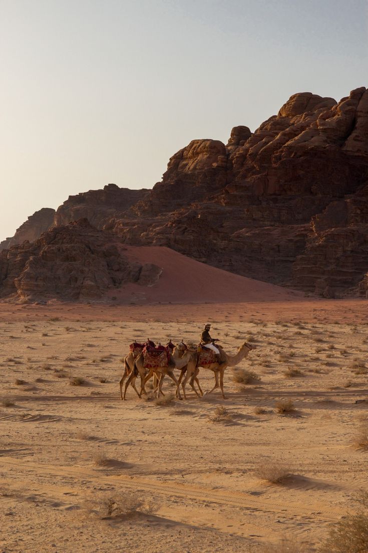 Wadi Rum Glamping Experience image