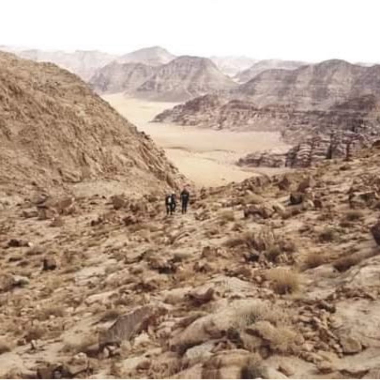 Wadi Rum Glamping Experience image