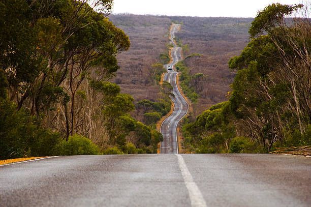Long Winding Road — Fleurieu Peninsula, SA — Fleurieu & Kangaroo Island Removals