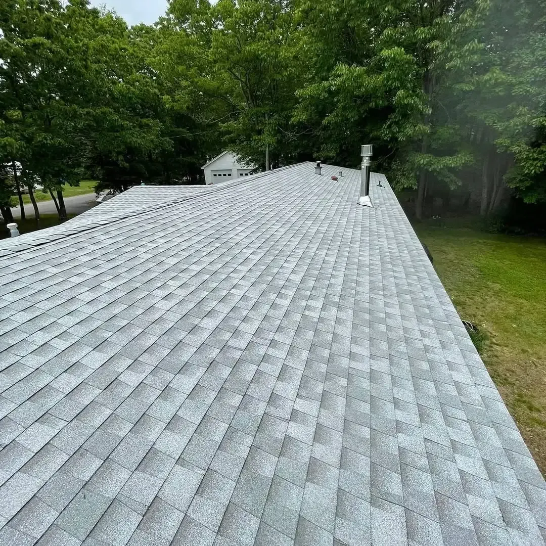 A roof with a lot of shingles and trees in the background.