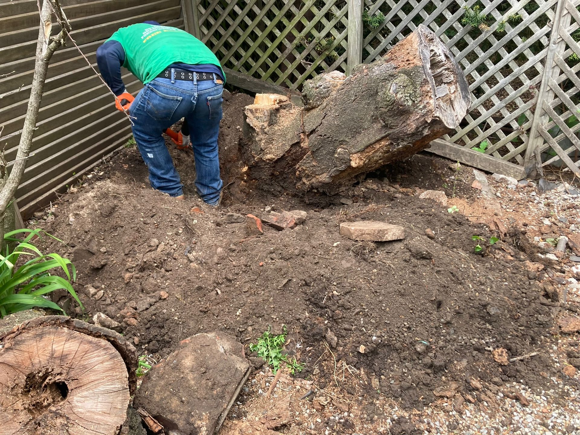 TREE TRUNK REMOVAL JERSEY CITY
