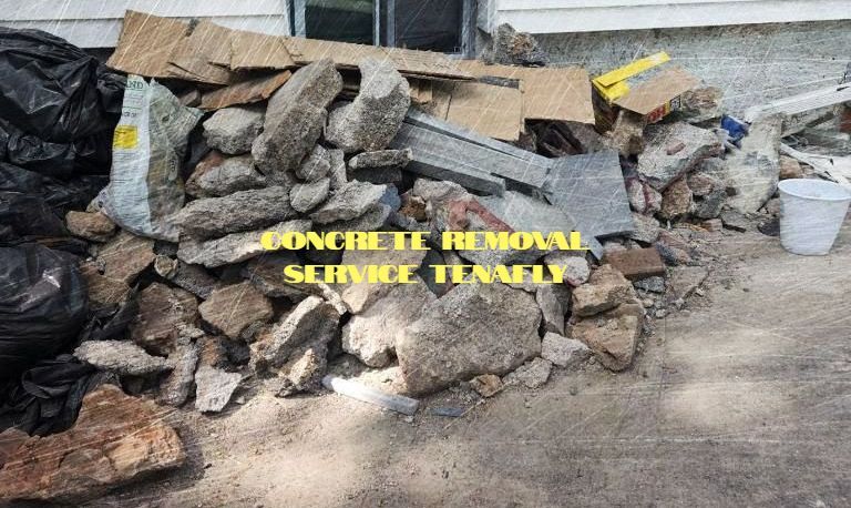 Construction Debris Removal Service