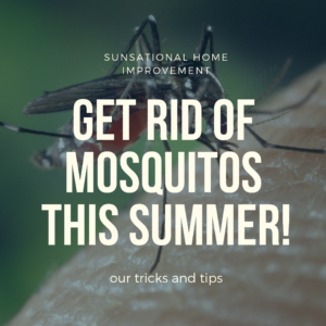Get Rid Of Mosquitoes — Lindon, UT — Sunsational Home Improvement