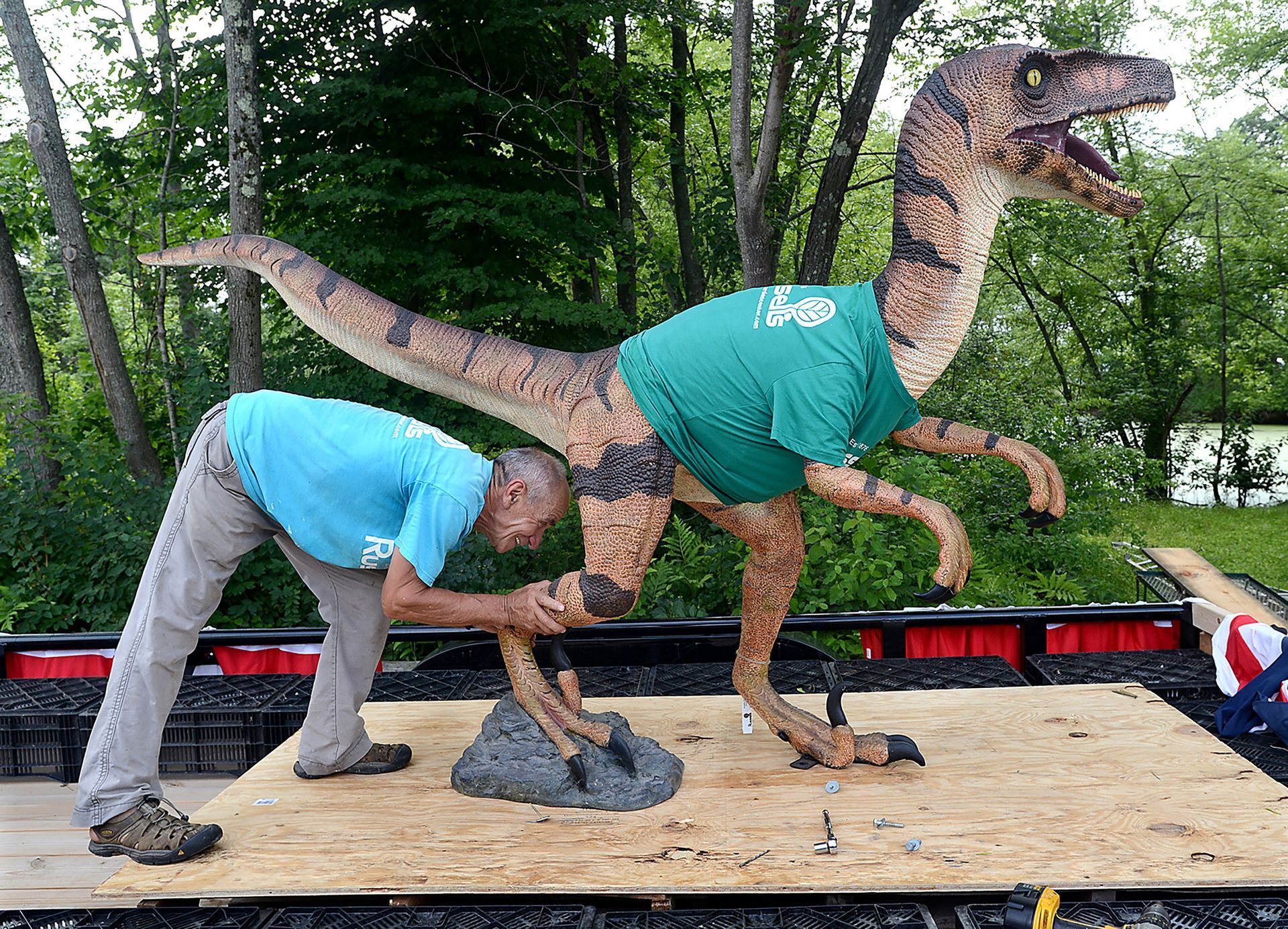 Victor Tkachenko of Russell's Garden Center in Wayland positions a velociraptor statue as workers build a float for the Sudbury Fourth of July parade, July 2, 2013.