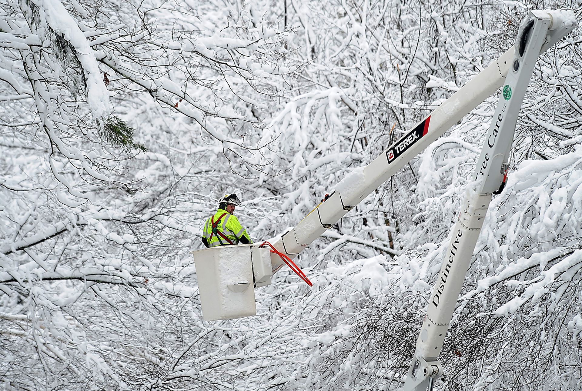 A tree worker from Connecticut is surrounded by snow-coated trees as he prepares to cut down branches resting on wires on Rte. 20 in Sudbury, Massachusetts, following a major snowstorm, March 8, 2018.