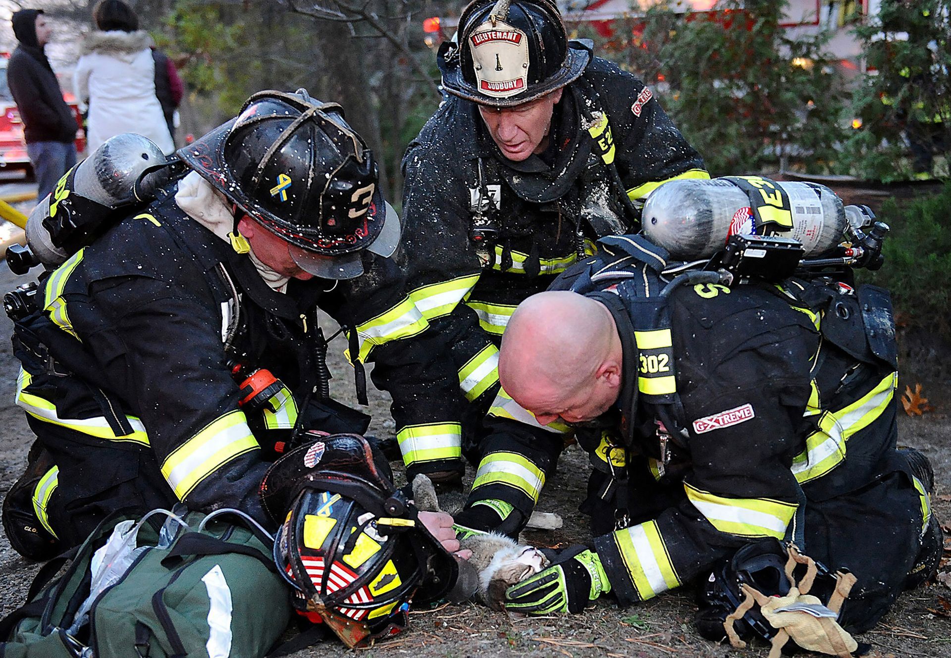 Sudbury firefighters try to resuscitate a house cat after it was found hiding in a closet during a house fire at 589 Boston Post Road in Sudbury, Nov. 20, 2014.