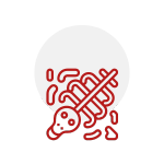 dead-animal-icon