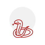 snake-icon