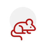 rodent-icon