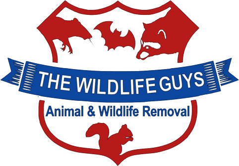 the-wildlife-guys-logo