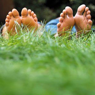 Chiropody, foot care treatments, in growing toe nails, calluses - Forfar, Dundee - E. Nicoll - Feet Chiropody, foot care treatments, in growing toe nails, calluses - Forfar, Dundee - E. Nicoll - Feet