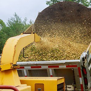 Wood Chipper Blowing Tree Branches — Independence, IA — Tournier's Recycling and Auto Salvage