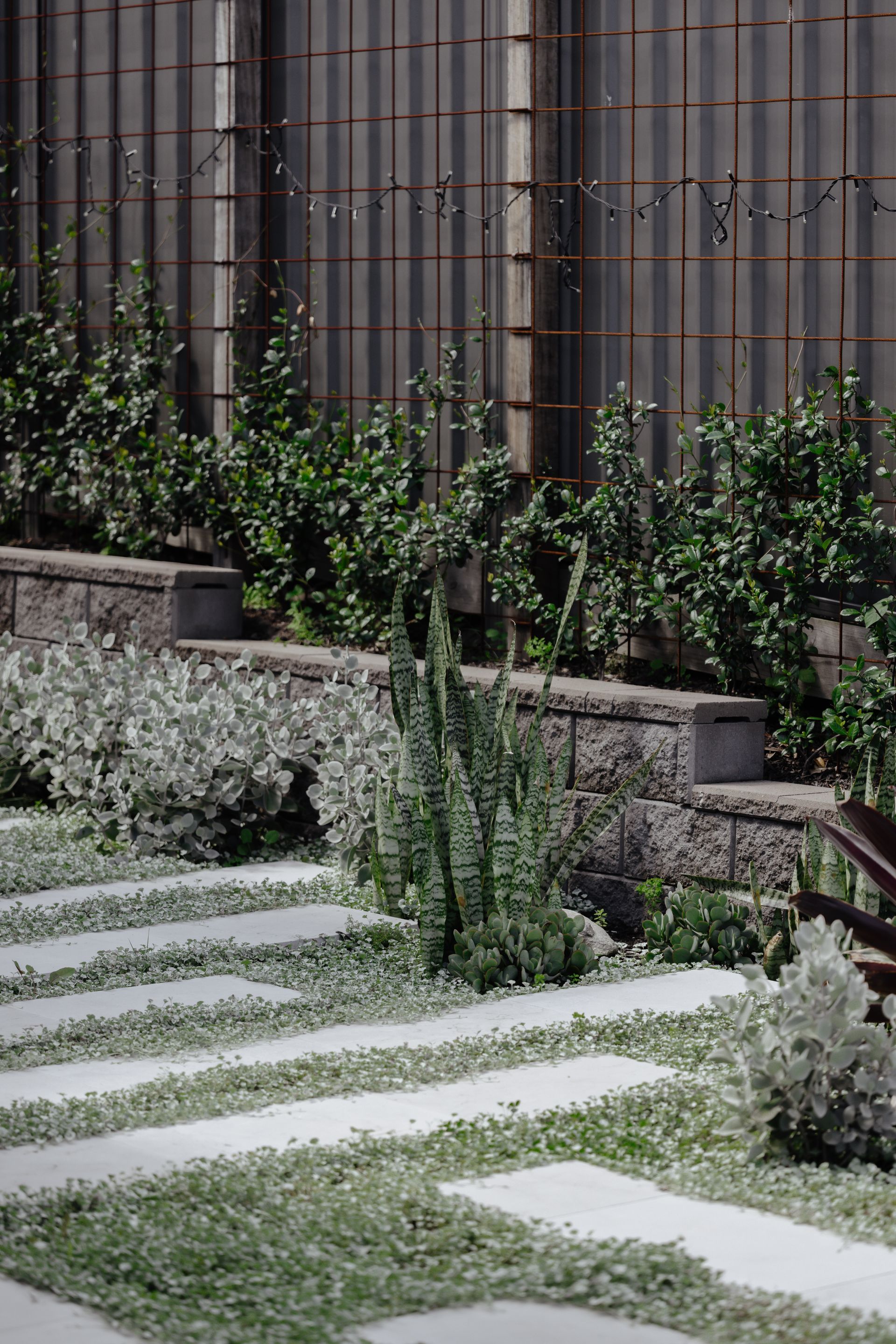 Stone pathway in a landscaped garden with steps, greenery, and a metal fence in the background.