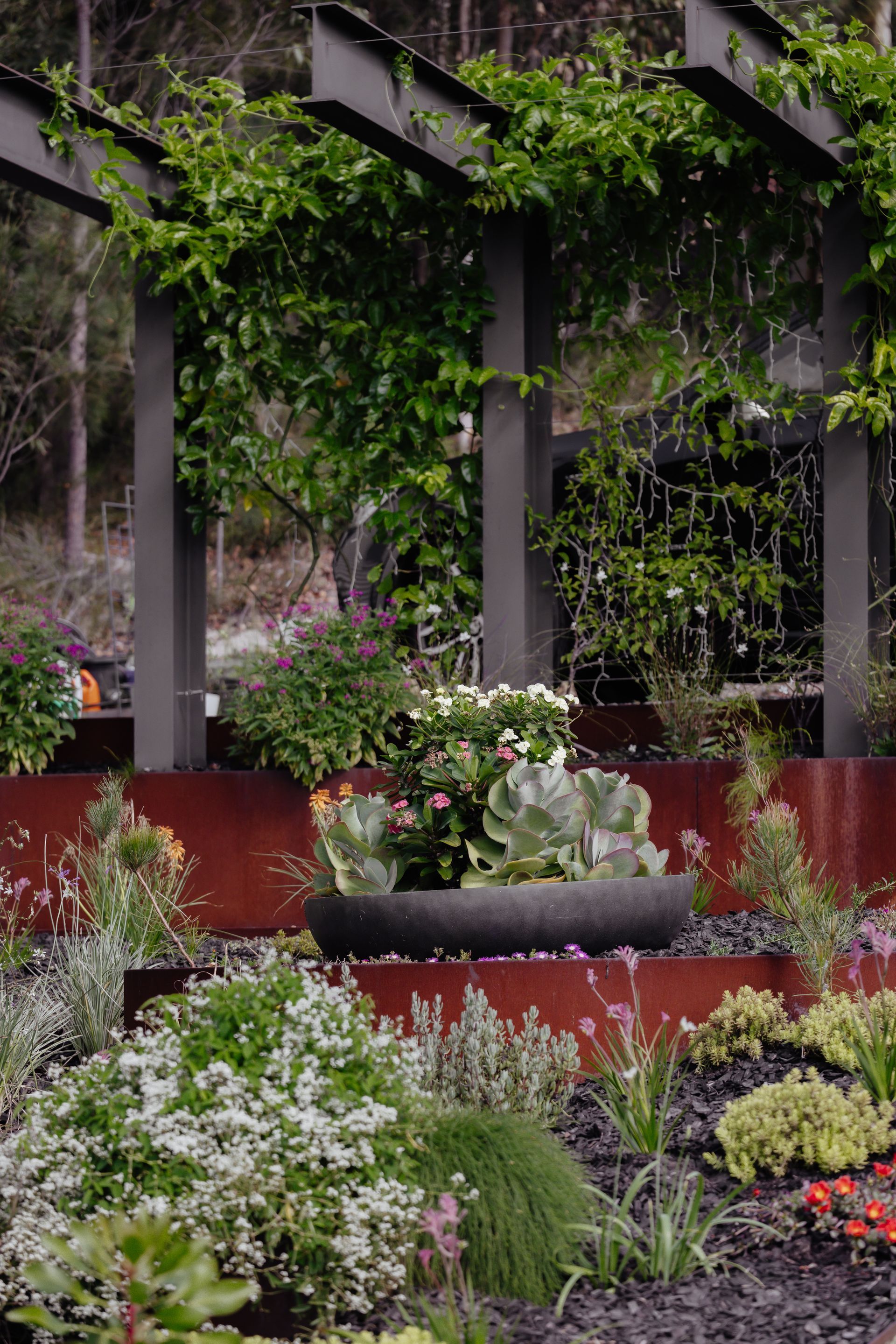 Back Yard Renovations