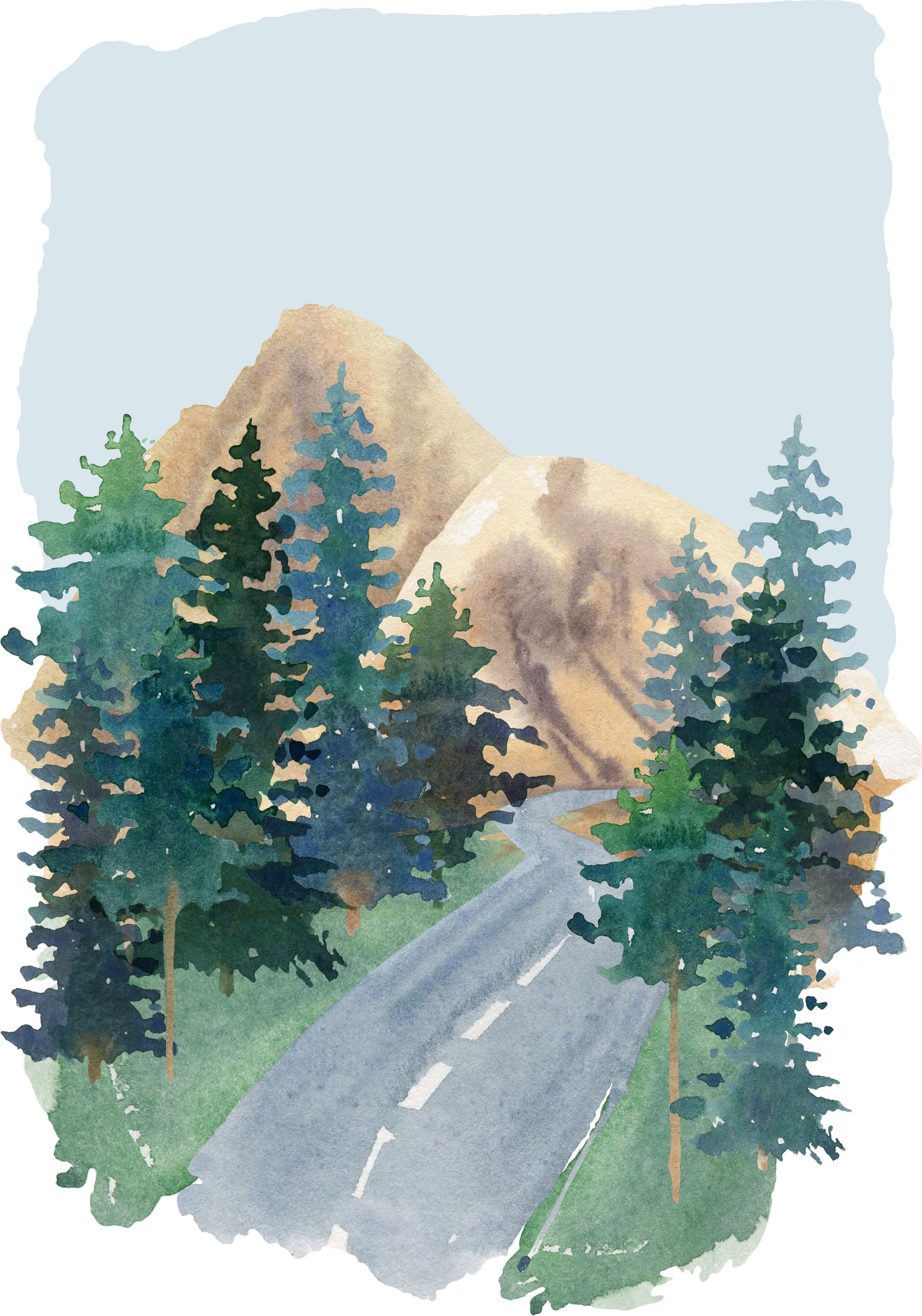 Road through evergreen trees, leading to brown mountains under a hazy blue sky.