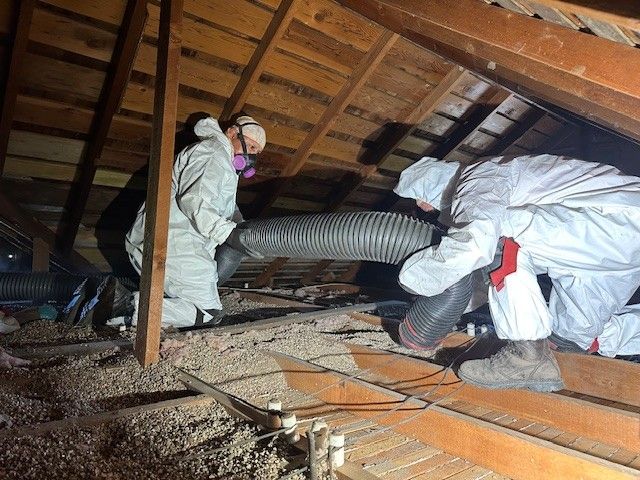 Workers in protective suits and masks, removing insulation from an attic.