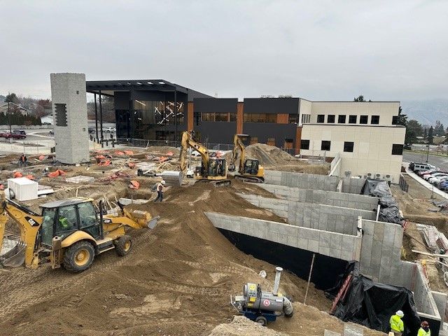 A pile of logs sitting on top of each other in a forest.
