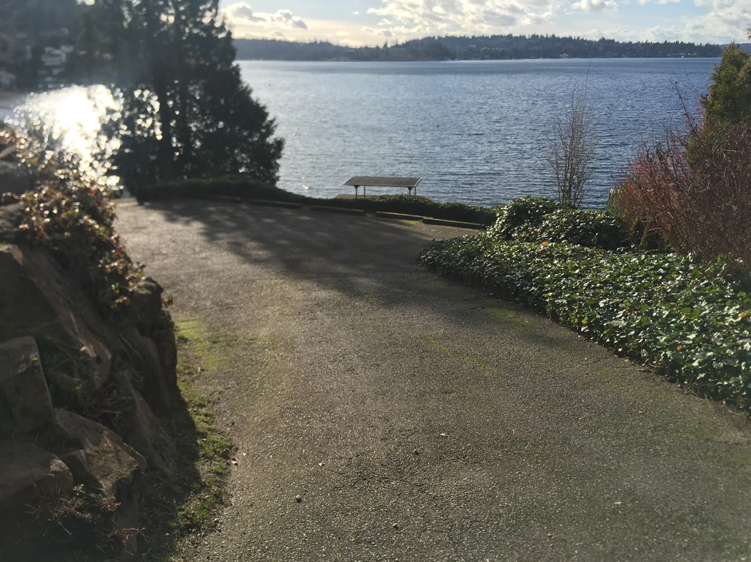 Asphalt driveway leads to a lake, with a bench visible on the shore. Overcast sky.