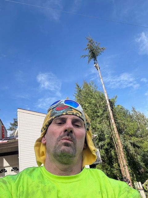 Man in neon shirt and bandana looks at camera, tree trimmer on tall ladder.