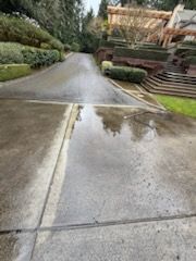Wet driveway leading uphill, flanked by hedges, grass, and a house; overcast day.