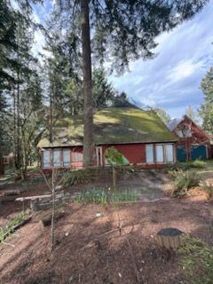 Red building with green roof surrounded by trees.