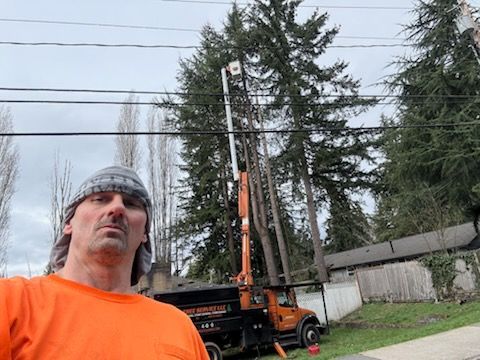 Man in orange shirt and beanie in front of tree-trimming truck, tall tree being worked on in residential area.