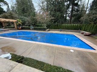 Blue-covered rectangular pool outdoors, surrounded by concrete, greenery, and a wooden pergola.