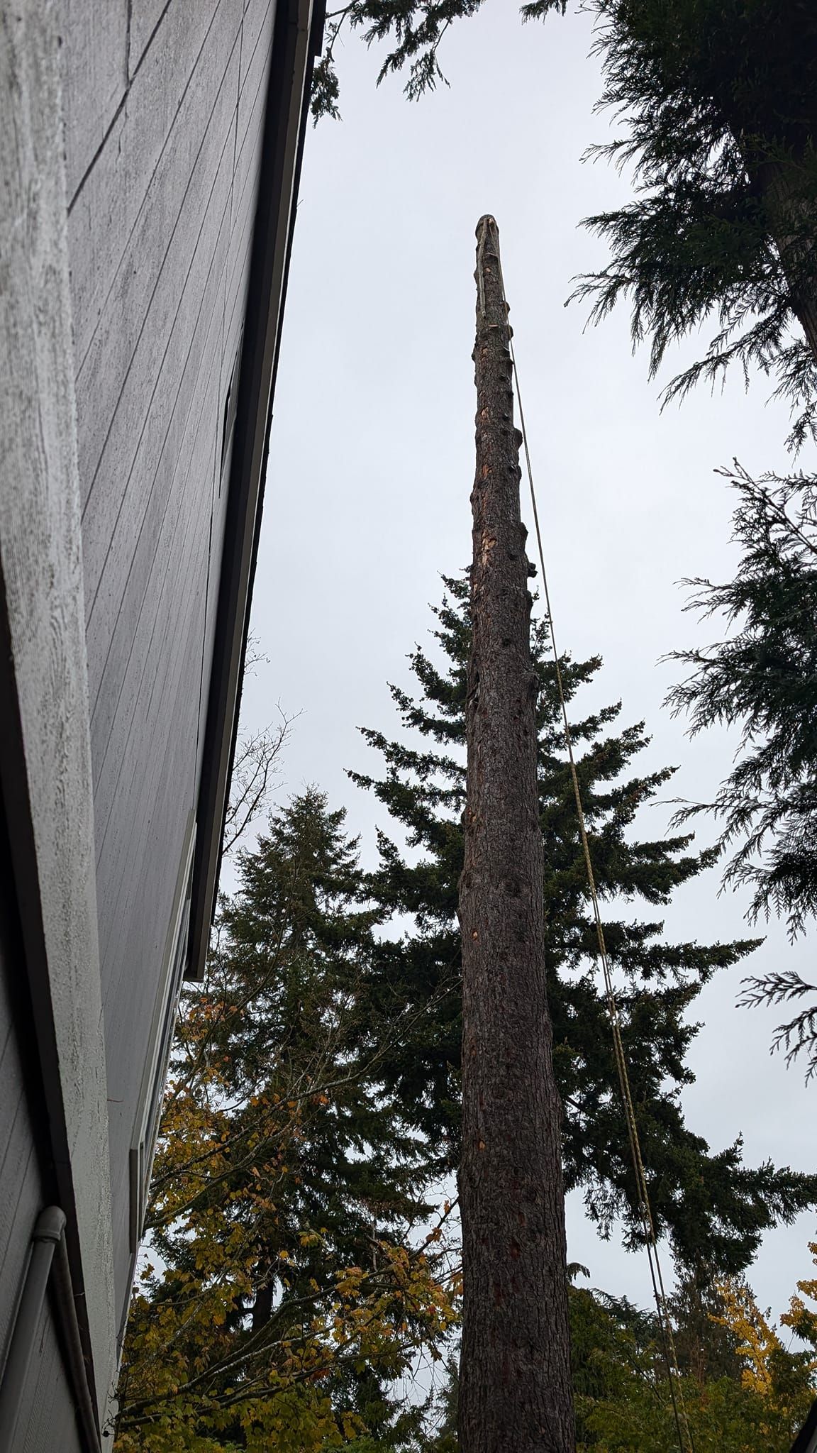Tall, thin sculpture, made from many small pieces, stands next to a building and trees against a cloudy sky.