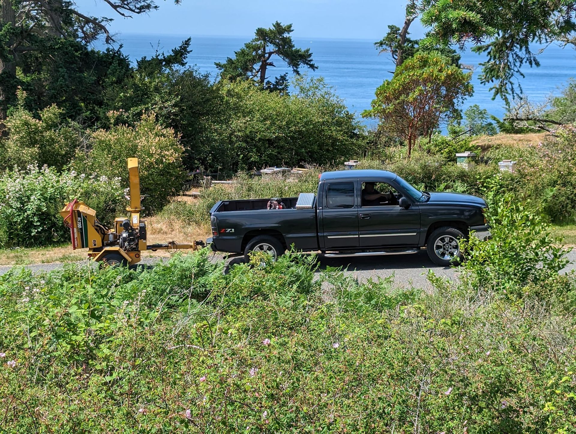 Dark pickup truck towing a stump grinder on a road overlooking the ocean, green trees and bushes on each side.