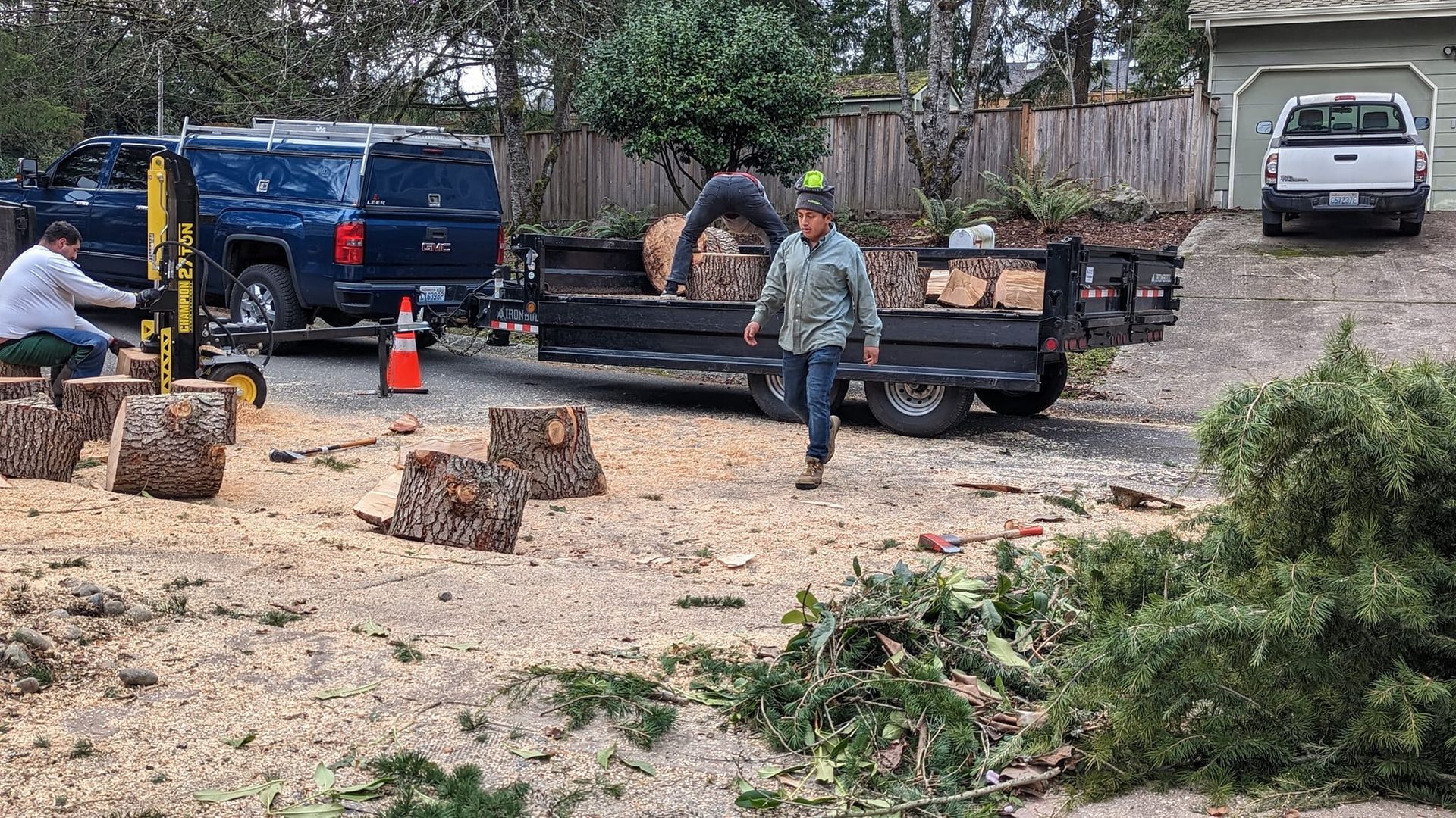 Men loading logs onto a trailer after tree removal. Brown logs, blue truck, gray trailer, outdoor setting.