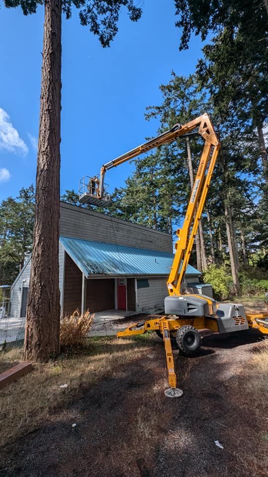 Yellow lift crane trimming tree branches near a building with blue roof and a forest backdrop on a sunny day.