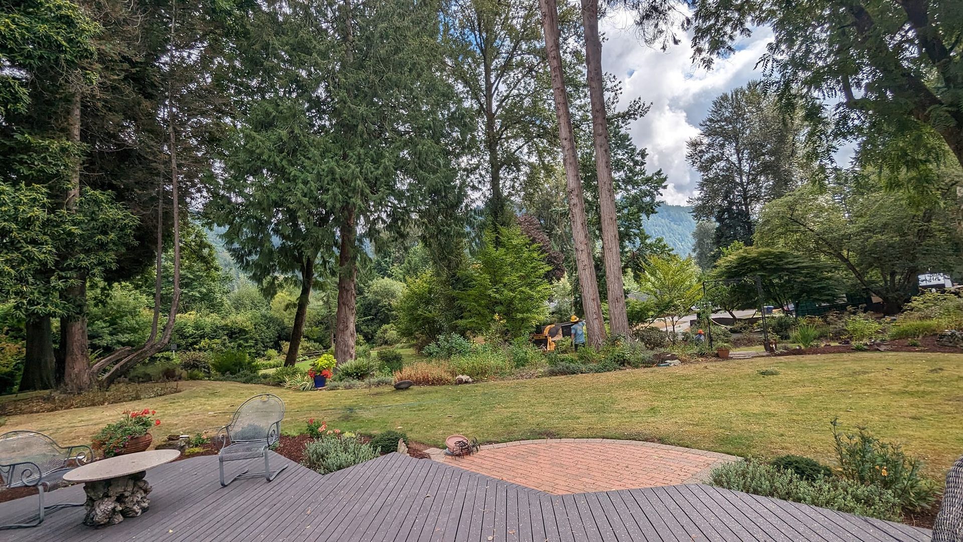 Lush backyard scene with trees, lawn, and patio. Cloudy sky.